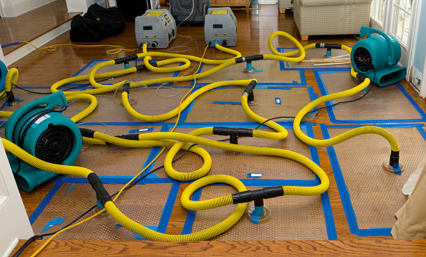 Professional Crawl Space Water Removal technician working in Townsend, DE